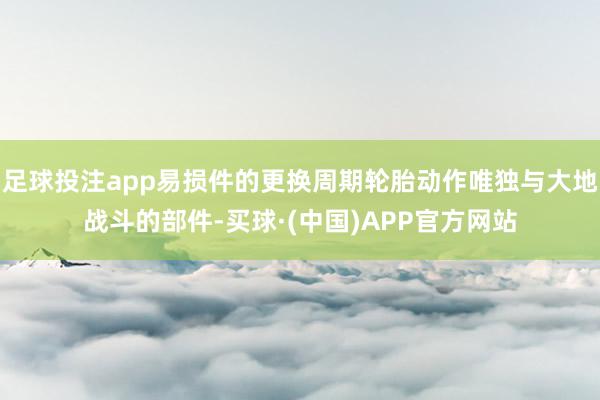 足球投注app易损件的更换周期轮胎动作唯独与大地战斗的部件-买球·(中国)APP官方网站