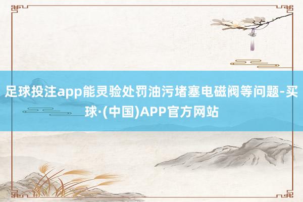 足球投注app能灵验处罚油污堵塞电磁阀等问题-买球·(中国)APP官方网站