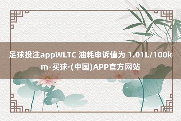 足球投注appWLTC 油耗申诉值为 1.01L/100km-买球·(中国)APP官方网站