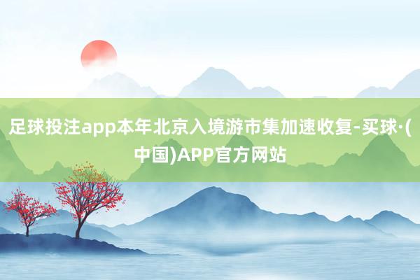 足球投注app本年北京入境游市集加速收复-买球·(中国)APP官方网站