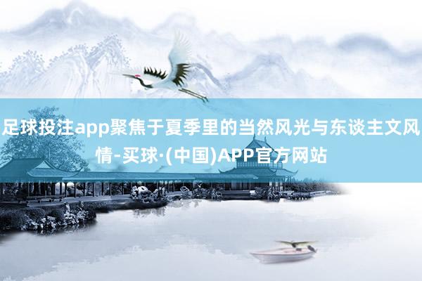 足球投注app聚焦于夏季里的当然风光与东谈主文风情-买球·(中国)APP官方网站