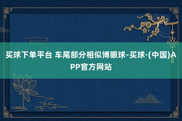 买球下单平台 车尾部分相似博眼球-买球·(中国)APP官方网站