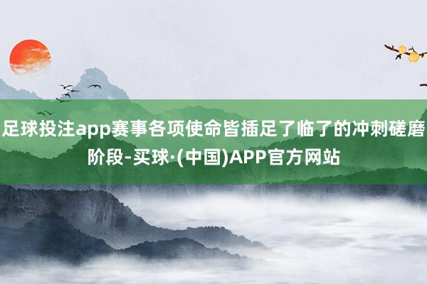 足球投注app赛事各项使命皆插足了临了的冲刺磋磨阶段-买球·(中国)APP官方网站