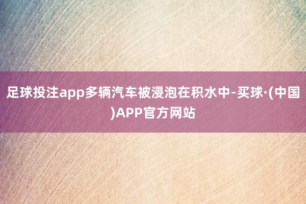 足球投注app多辆汽车被浸泡在积水中-买球·(中国)APP官方网站