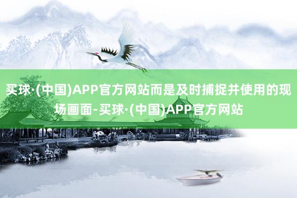 买球·(中国)APP官方网站而是及时捕捉并使用的现场画面-买球·(中国)APP官方网站