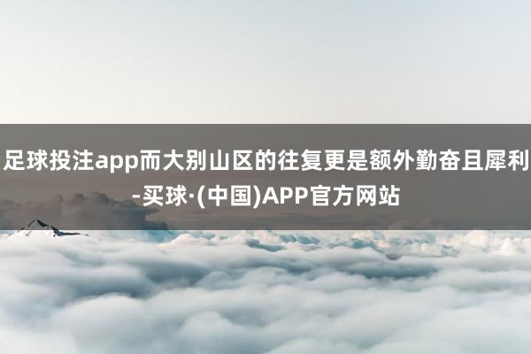 足球投注app而大别山区的往复更是额外勤奋且犀利-买球·(中国)APP官方网站