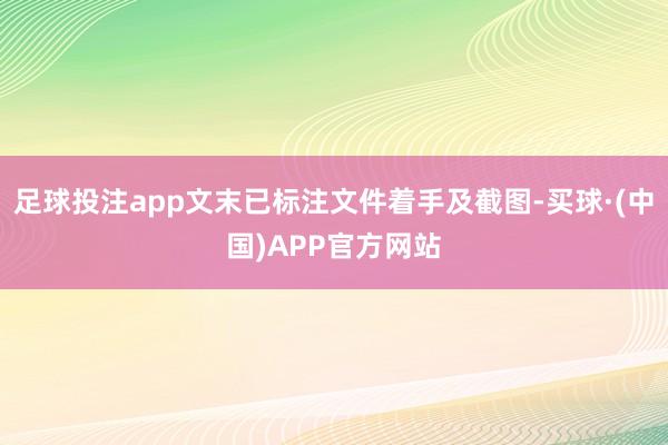 足球投注app文末已标注文件着手及截图-买球·(中国)APP官方网站