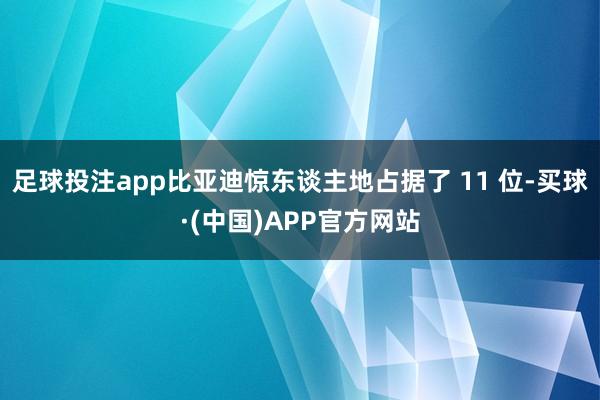 足球投注app比亚迪惊东谈主地占据了 11 位-买球·(中国)APP官方网站