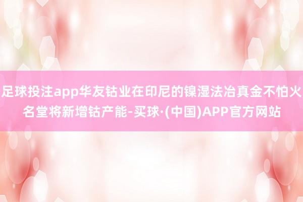 足球投注app华友钴业在印尼的镍湿法冶真金不怕火名堂将新增钴产能-买球·(中国)APP官方网站