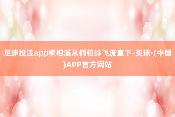 足球投注app桐柏溪从桐柏岭飞流直下-买球·(中国)APP官方网站