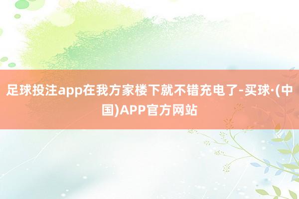 足球投注app在我方家楼下就不错充电了-买球·(中国)APP官方网站