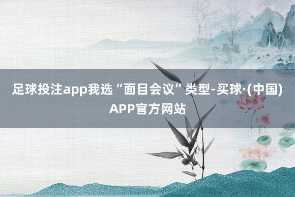 足球投注app我选“面目会议”类型-买球·(中国)APP官方网站