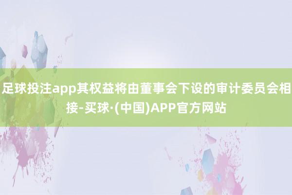 足球投注app其权益将由董事会下设的审计委员会相接-买球·(中国)APP官方网站