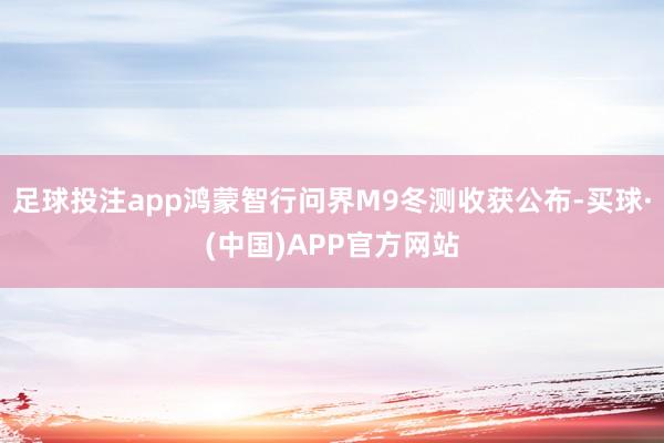 足球投注app鸿蒙智行问界M9冬测收获公布-买球·(中国)APP官方网站