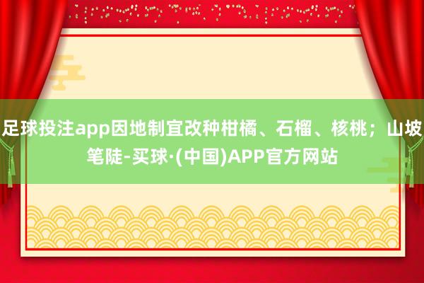 足球投注app因地制宜改种柑橘、石榴、核桃；山坡笔陡-买球·(中国)APP官方网站