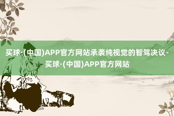 买球·(中国)APP官方网站承袭纯视觉的智驾决议-买球·(中国)APP官方网站
