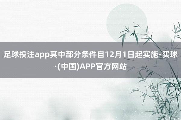 足球投注app其中部分条件自12月1日起实施-买球·(中国)APP官方网站