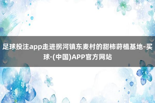 足球投注app走进拐河镇东麦村的甜柿莳植基地-买球·(中国)APP官方网站