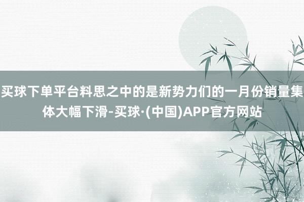 买球下单平台料思之中的是新势力们的一月份销量集体大幅下滑-买球·(中国)APP官方网站