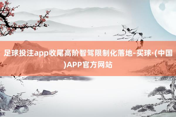 足球投注app收尾高阶智驾限制化落地-买球·(中国)APP官方网站