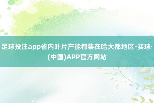 足球投注app省内叶片产能都集在哈大都地区-买球·(中国)APP官方网站