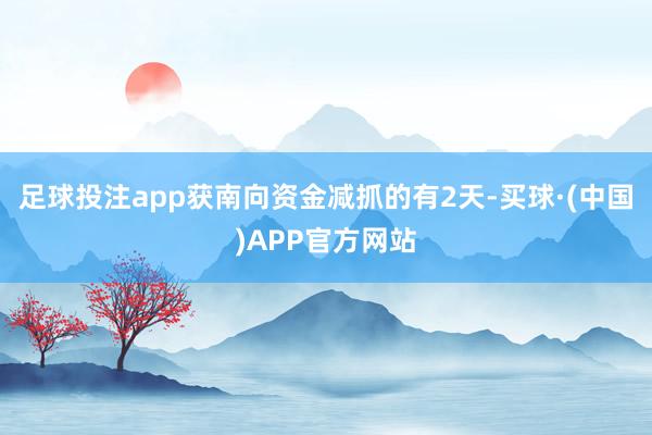 足球投注app获南向资金减抓的有2天-买球·(中国)APP官方网站