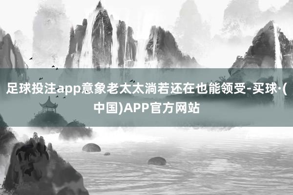 足球投注app意象老太太淌若还在也能领受-买球·(中国)APP官方网站