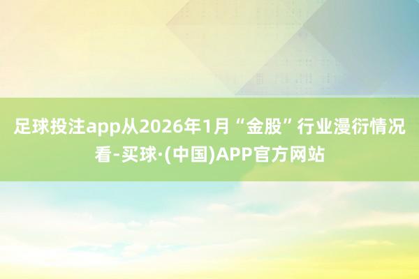 足球投注app 从2026年1月“金股”行业漫衍情况看-买球·(中国)APP官方网站