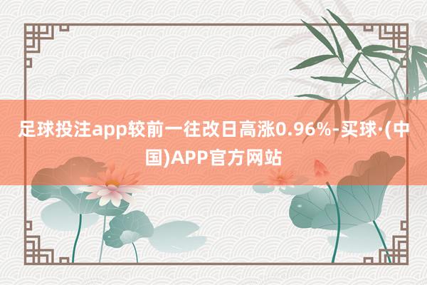 足球投注app较前一往改日高涨0.96%-买球·(中国)APP官方网站