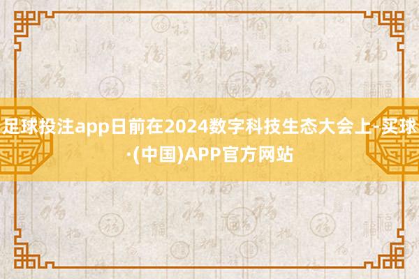 足球投注app日前在2024数字科技生态大会上-买球·(中国)APP官方网站