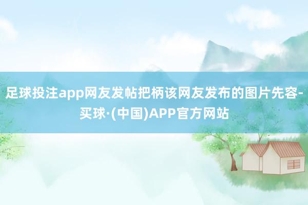 足球投注app网友发帖把柄该网友发布的图片先容-买球·(中国)APP官方网站