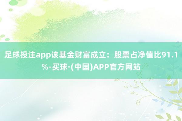 足球投注app该基金财富成立：股票占净值比91.1%-买球·(中国)APP官方网站