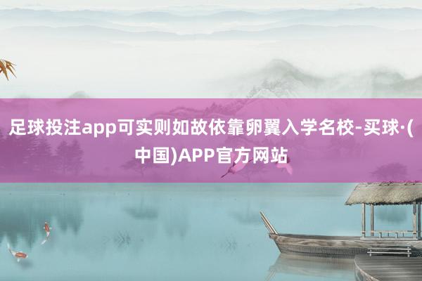 足球投注app可实则如故依靠卵翼入学名校-买球·(中国)APP官方网站