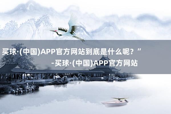 买球·(中国)APP官方网站到底是什么呢?” -买球·(中国)APP官方网站