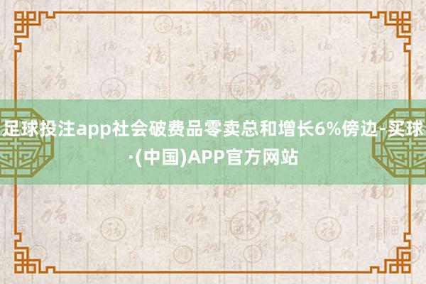 足球投注app社会破费品零卖总和增长6%傍边-买球·(中国)APP官方网站
