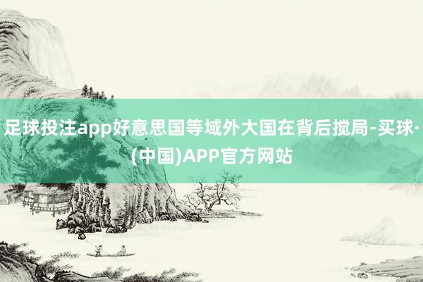 足球投注app好意思国等域外大国在背后搅局-买球·(中国)APP官方网站
