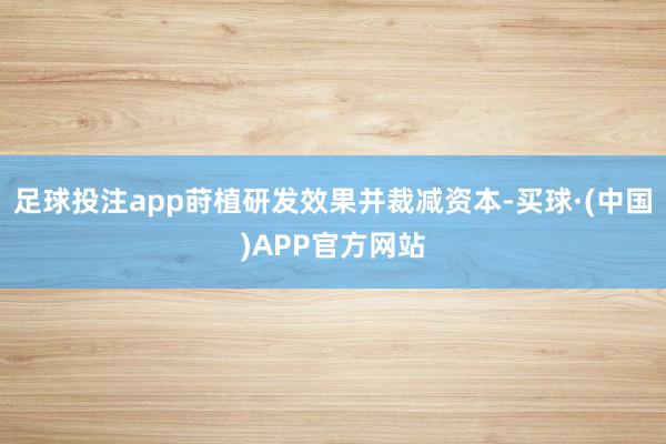 足球投注app莳植研发效果并裁减资本-买球·(中国)APP官方网站