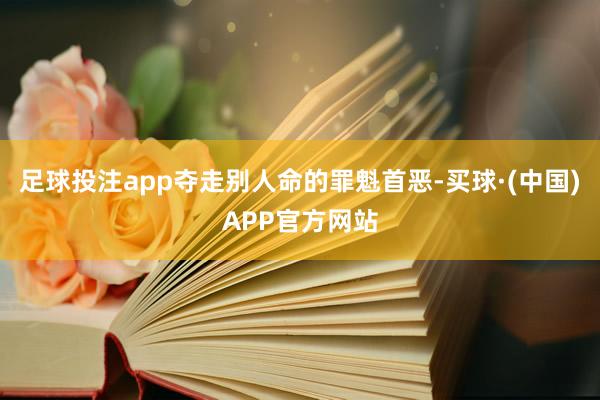 足球投注app夺走别人命的罪魁首恶-买球·(中国)APP官方网站