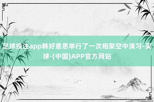 足球投注app韩好意思举行了一次相聚空中演习-买球·(中国)APP官方网站