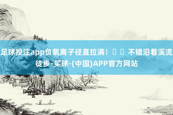足球投注app负氧离子径直拉满！▪️不错沿着溪流徒步-买球·(中国)APP官方网站