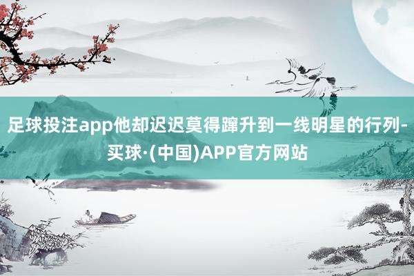 足球投注app他却迟迟莫得蹿升到一线明星的行列-买球·(中国)APP官方网站