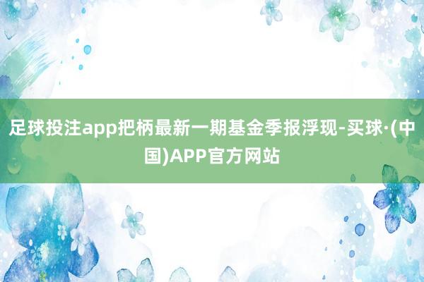 足球投注app把柄最新一期基金季报浮现-买球·(中国)APP官方网站