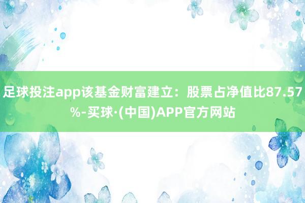 足球投注app该基金财富建立：股票占净值比87.57%-买球·(中国)APP官方网站