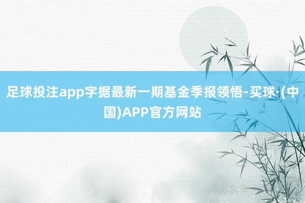 足球投注app字据最新一期基金季报领悟-买球·(中国)APP官方网站