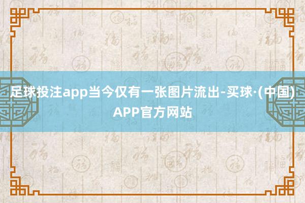足球投注app当今仅有一张图片流出-买球·(中国)APP官方网站
